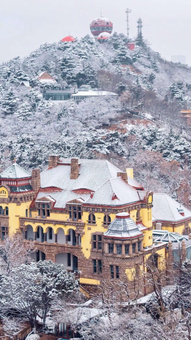 12.13下雪的青島瘋了