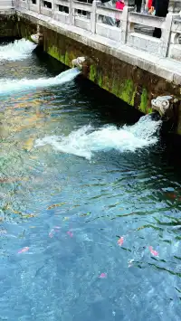 傳說中的“琉璃海”，我在濟南找到了！