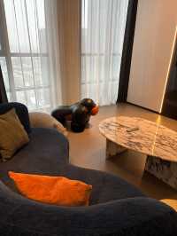 瀋陽家庭遊首選豪澤希芮迪酒店太讚了!