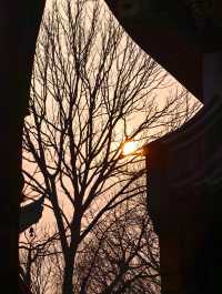 冬日泉州｜清源山的絕美夕陽剪影