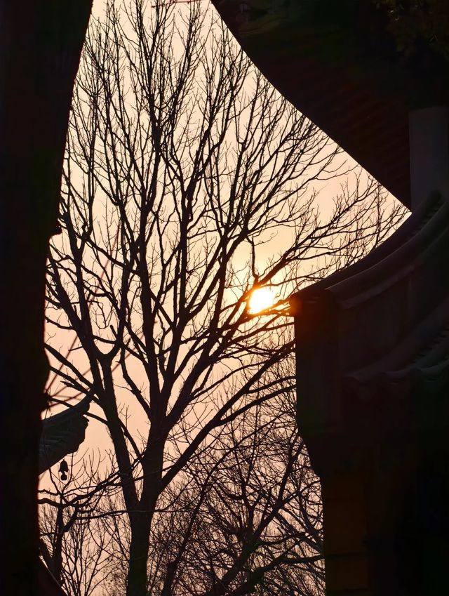 冬日泉州｜清源山的絕美夕陽剪影