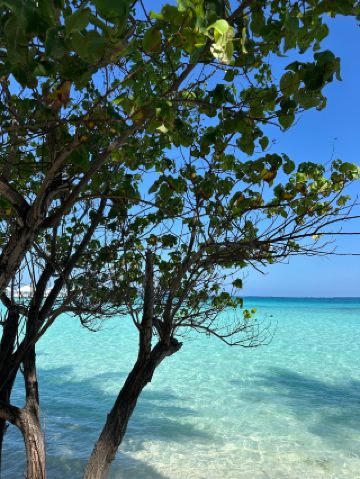 아름답고 아늑한 장소