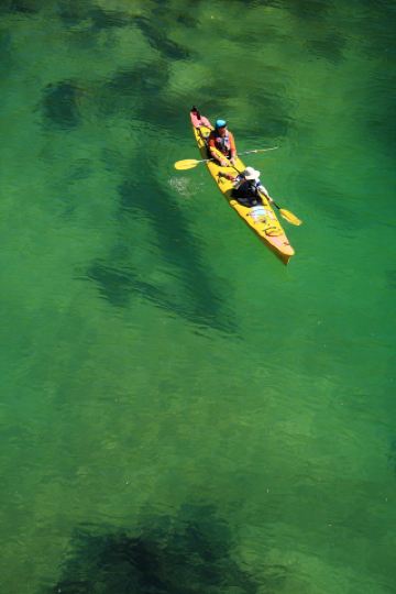 Embrace 100% nature! Routes only known to locals in New Zealand!