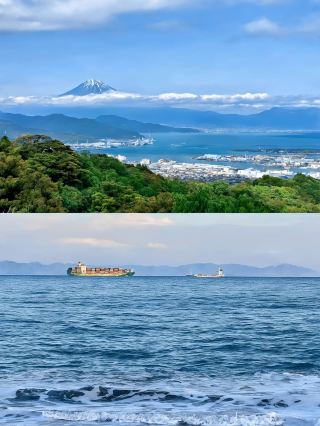ทริป 8 วันในฤดูใบไม้ผลิที่ญี่ปุ่น: คู่มือฉบับสมบูรณ์สำหรับการชมดอกซากุระบาน