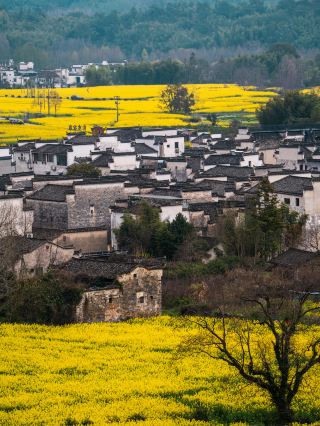 ทัวร์ขับรถเที่ยวเอง 2 วัน 1 คืน ทางตอนใต้ของมณฑลอานฮุย: หลีกเลี่ยงฝูงชนและค้นพบอัญมณีที่ซ่อนเร้นอันน่าทึ่งในหมู่บ้านโบราณ