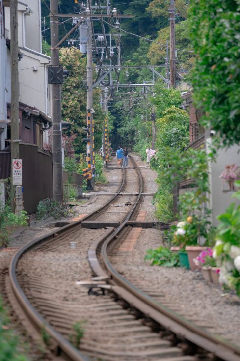 紫陽花が咲き誇るエンドレスサマー！この庭園は本当に写真映えします