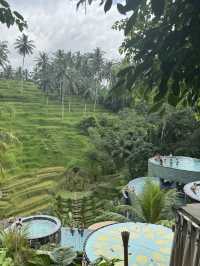 🌿 The Peaceful Side of Bali: Ubud Rice Fields, Rainy Evenings & A Stay Surrounded by Nature 🇮🇩