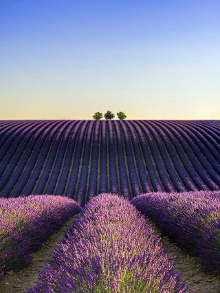 2-day summer France travel guide that’s super practical