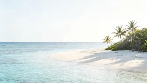 Phát sóng trực tiếp từ Saipan ngày 30 tháng 7, tôi thực sự sắp kiệt sức rồi. — traveler post in Tinian