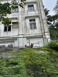 夏天去香港也太值了吧保姆級攻略快碼住