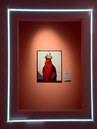 天津女性映像展｜クラシックを除いて、私が最も心を打たれた5つの「人生の瞬間」
