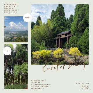 Bucket List Destinations: Xianfeng Mountain Forest Park