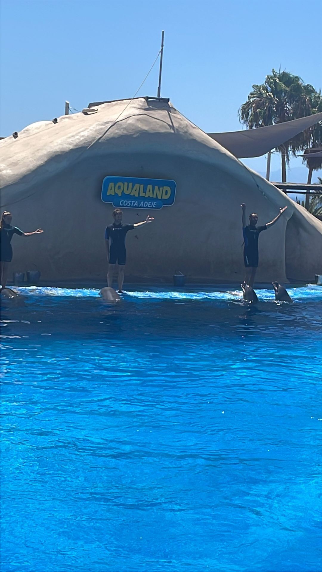 아쿠아랜드 코스타 아데헤에서의 즐거운 하루 🐬