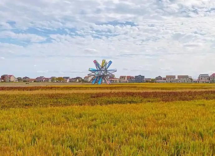 上海稲1968｜魔都の無料田園秘境、穴場の癒やし稲穂一日旅 | Trip.com 上海