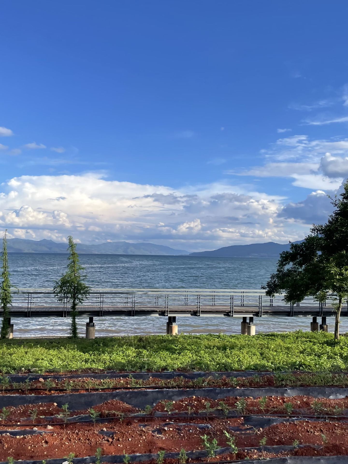 5-day healing travel guide to Yuxi and beyond, hidden in central Yunnan