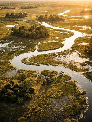 The Ultimate 8-Day Multi-Country Travel Guide: Botswana and Beyond