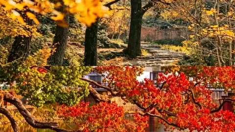 Autumn in the Yangtze River Delta is hidden in the mountains, ancient villages, and old trails—a mix of cool breezes, fallen leaves, and a sea of clouds. — traveler post in Lishui