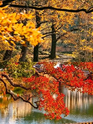 Autumn in the Yangtze River Delta is hidden in the mountains, ancient villages, and old trails—a mix of cool breezes, fallen leaves, and a sea of clouds.