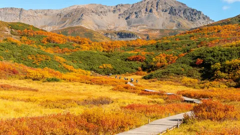 Arrived at Changbai Mountain on Oct 21 and realized how underdressed I was — traveler post in Yanbian
