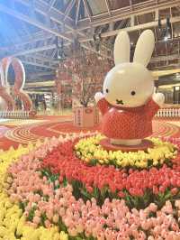 迎接兔年 跟Miffy過新春