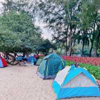 蝴蝶灣沙灘，蝴蝶灣公園，燒烤場，超級熱門！