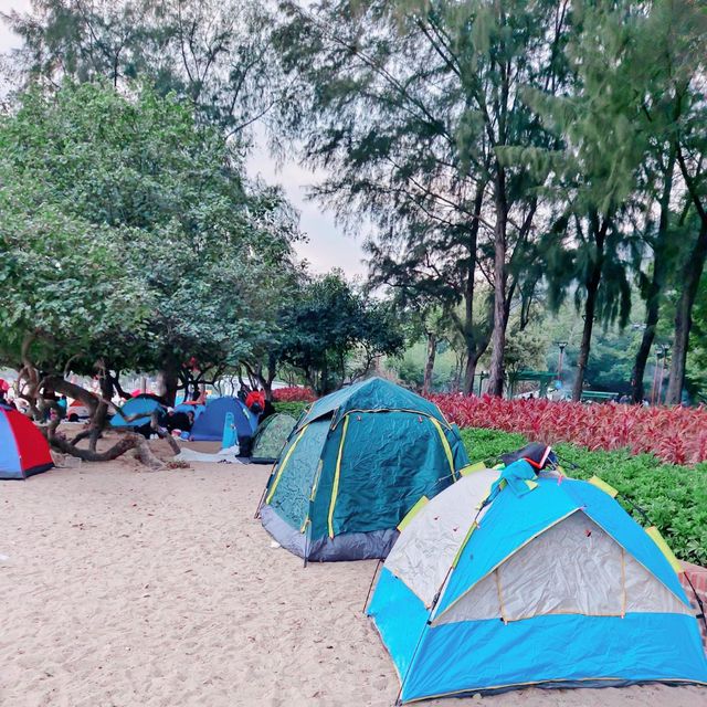 蝴蝶灣沙灘，蝴蝶灣公園，燒烤場，超級熱門！