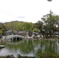 【福岡】世界遺産✨「宗像大社」⛩️