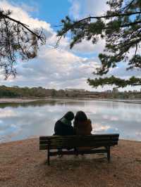 멋진 연못을 품은 ‘오호리 공원’ 을 소개합니다~!🌳