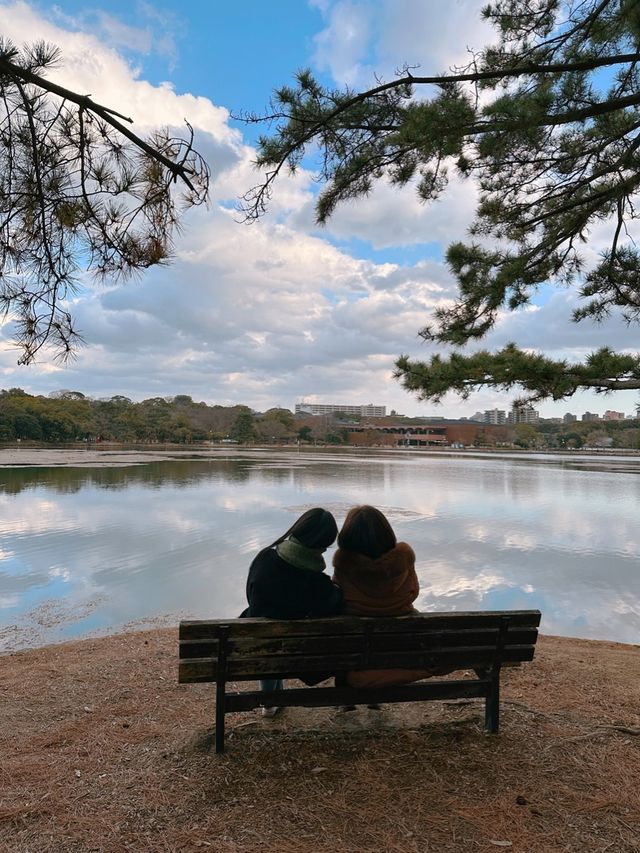 멋진 연못을 품은 ‘오호리 공원’ 을 소개합니다~!🌳