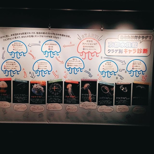京都水族館新展示エリア！クラゲワンダー