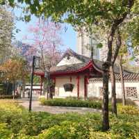 ✨八角亭台~紅色柱子~蘇州視覺感龍園✨
