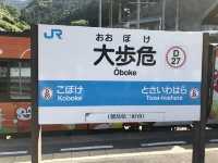 四國景點！日本三大秘景之一，大步危，大步踏過祖谷藤蔓橋🌉