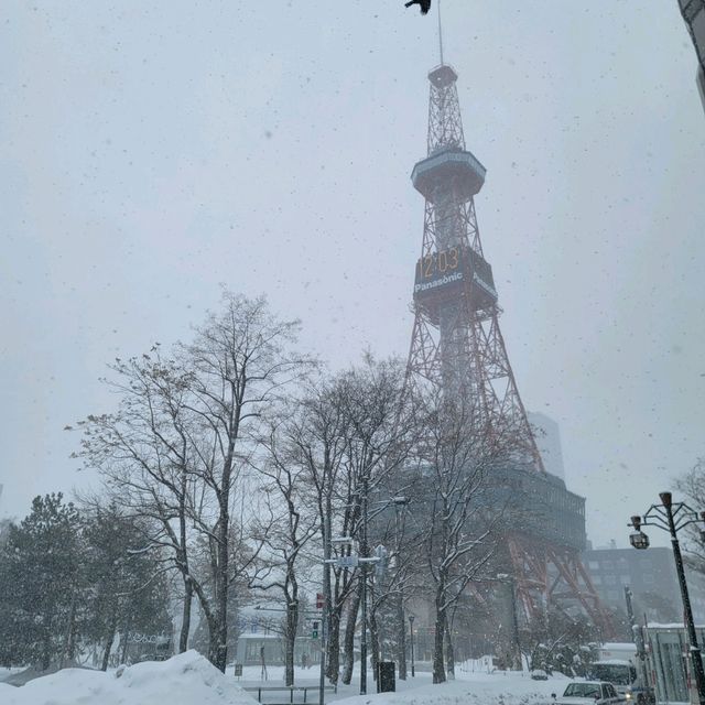 일본 삿포로 여행 삿포로 TV탑