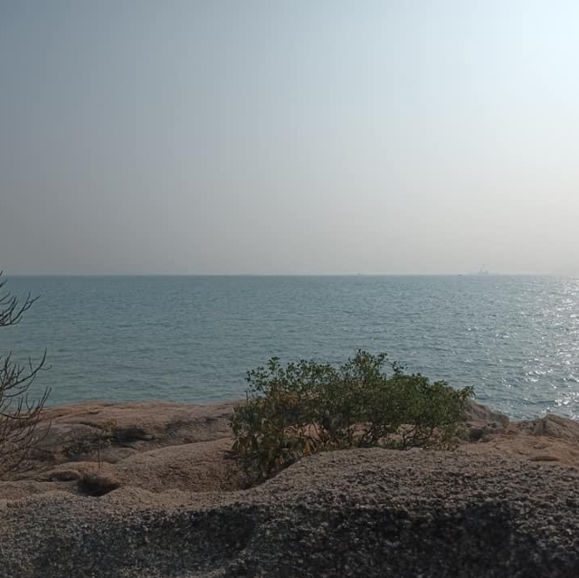 長洲環島遊