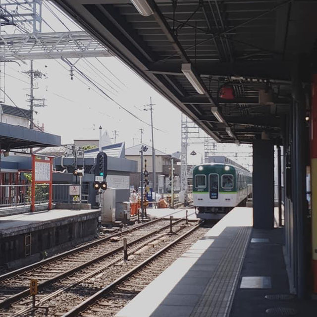 Japan | Kyoto 1 Day trip