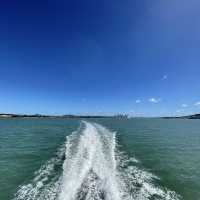 Waiheke island from visitor views!!!