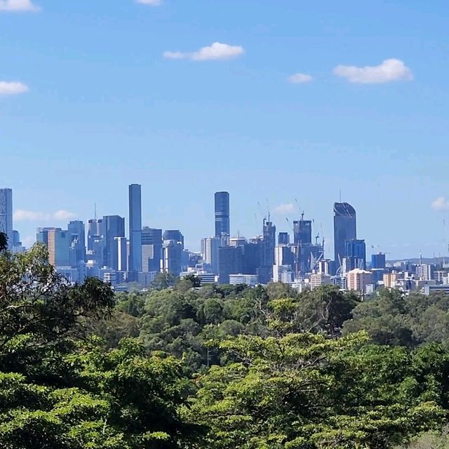 Mount Coot-Tha