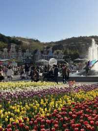 에버랜드 튤립축제 가야하는이유! 🌷 인생샷 만땅
