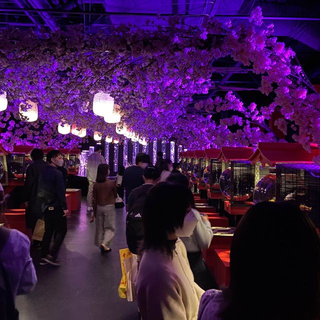 銀座めっちゃ桜　Meccha Sakura Event in Ginza Tokyo