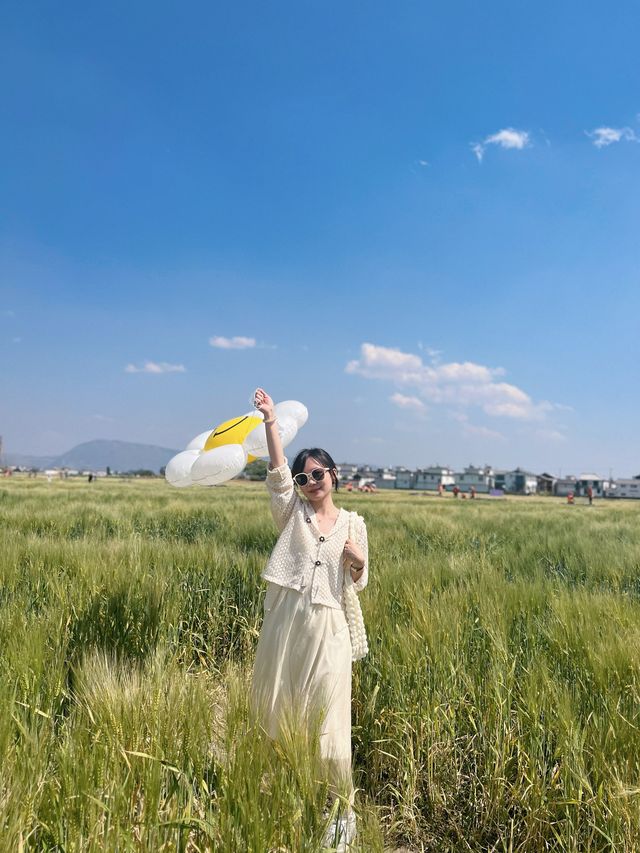 雲南｜探訪白族文化之鄉 走進大理喜洲古城