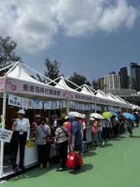 最近維多利亞公園又有活動～