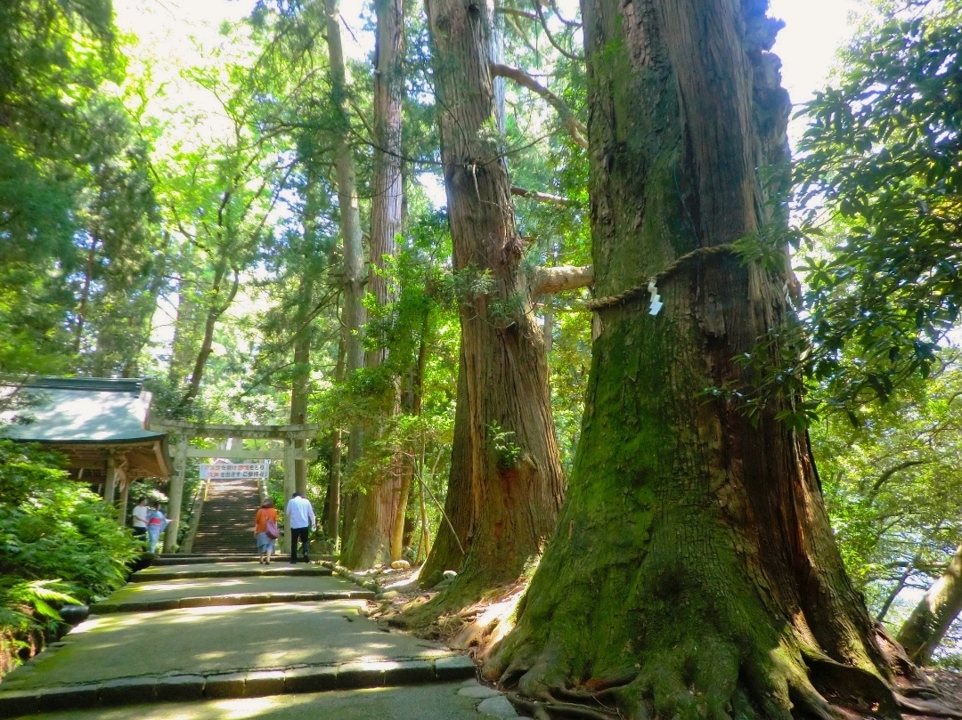 白山比咩神社】（石川県白山市 旧国名：加賀） | Trip.com 白山市