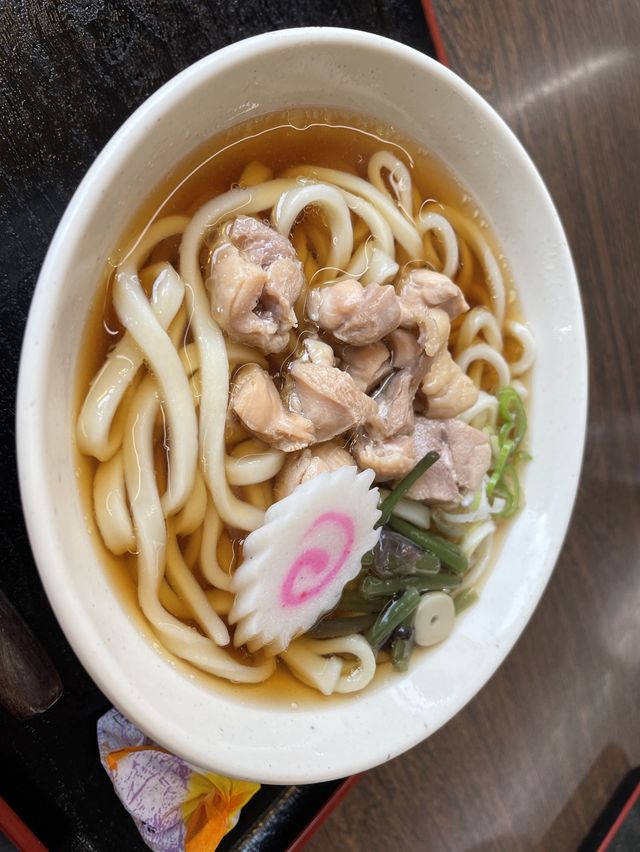 日本🗾三大名瀑🥰日光華嚴瀑布🤣東京出發2小時景點❤️