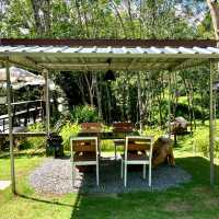 A Cafe and Restuarant in the Forest