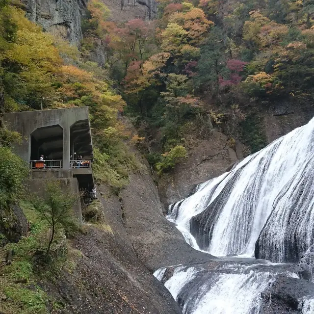 袋田の滝