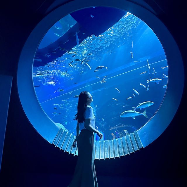 📍DMMかりゆし水族館/沖縄