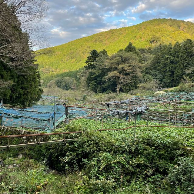 【水の都‼️伊豆】