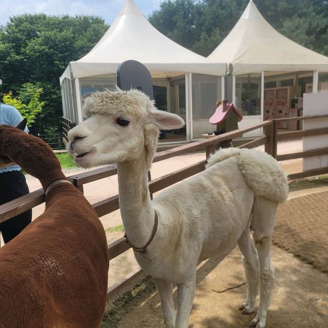 아이들과 함께 가기좋고 뷰가 너무 좋아요..