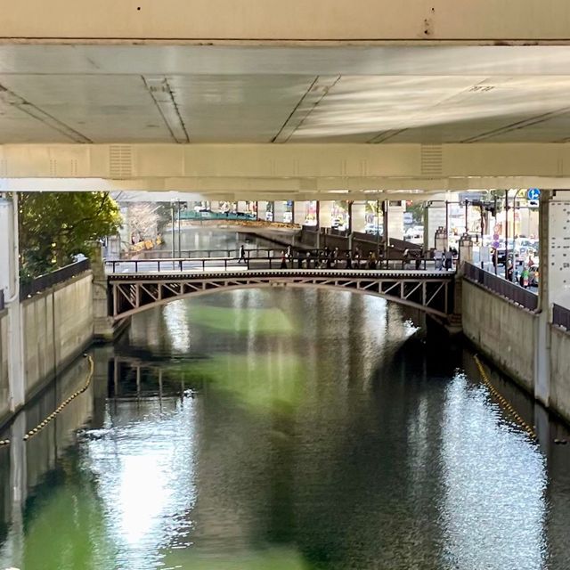 横浜の名所がぎゅっと詰まった「山下公園」