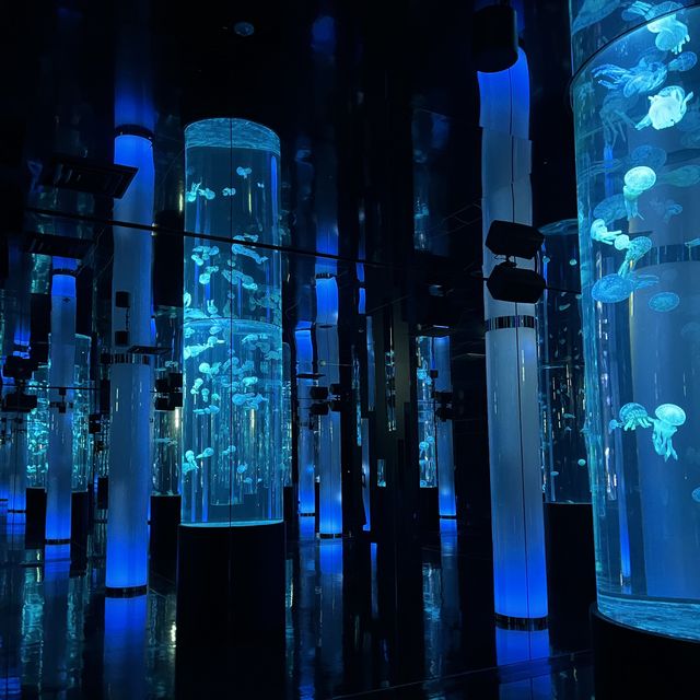 【沖縄】空間演出がすごい💕DMMかりゆし水族館